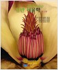 일반식물학 - 제2판