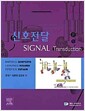 신호전달