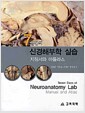 신경해부학 실습 지침서와 아틀라스 - 7일간의